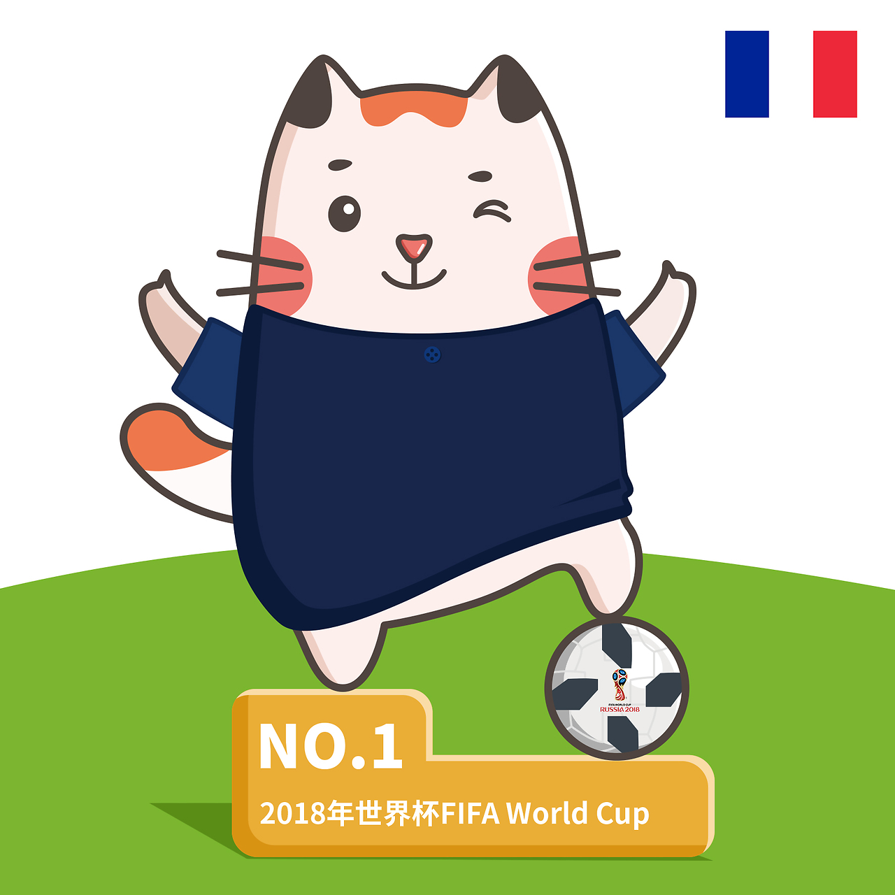国网球事